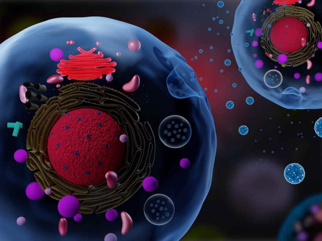How Exosomes look like